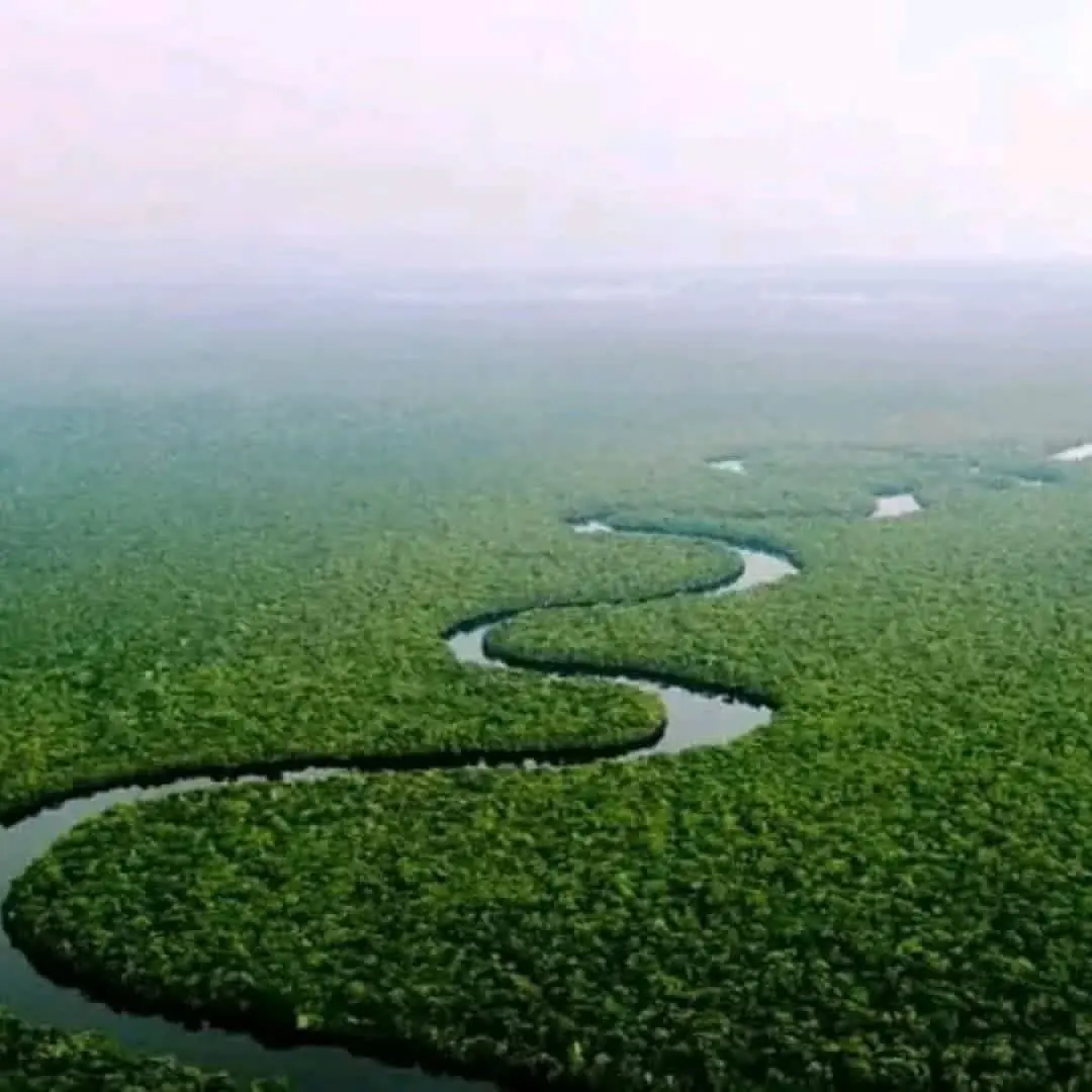 Bassin du Congo — Deuxième poumon de la planète