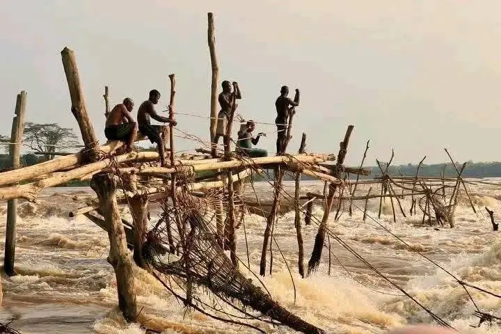 Pêcheurs Wagenia — Chutes de la Tshopo, Kisangani